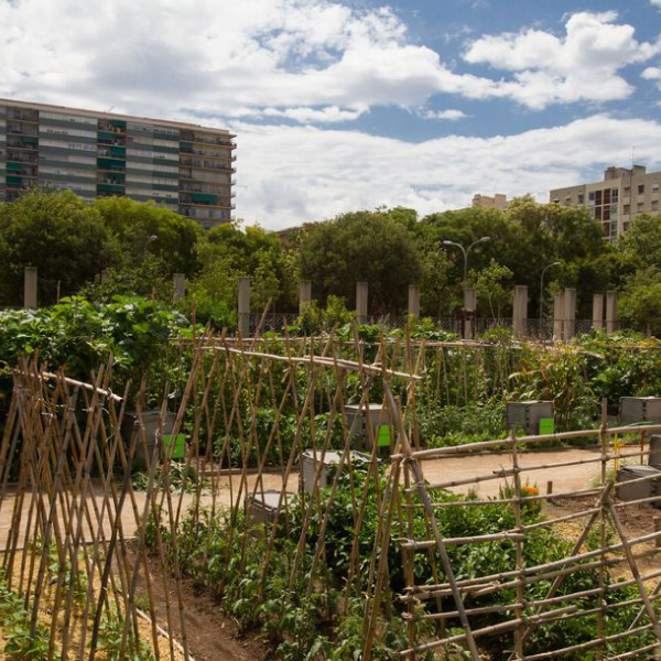 Una oportunitat única per gestionar un hort urbà, un jardí o un espai de biodiversitat!